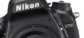 5 Best Cameras for Nikon Videography